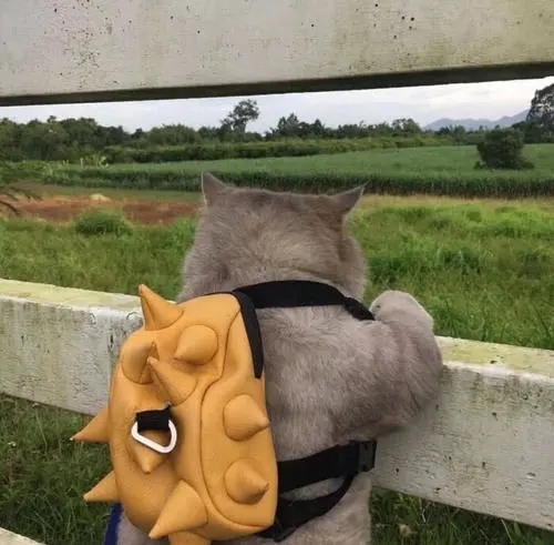 情感语录文案头像图片黑白