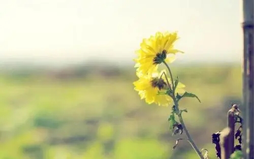 富有哲理的句子文案长句