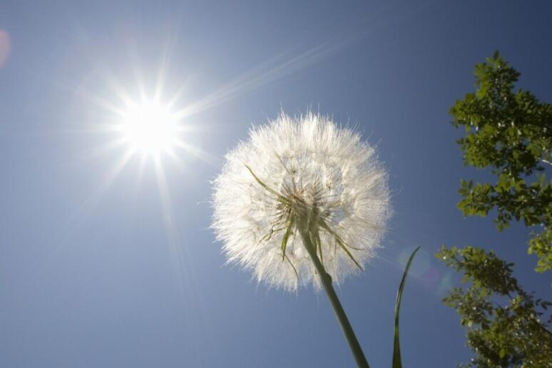 简短祝福语唯美