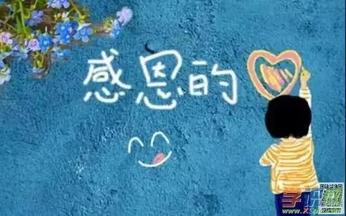 感恩老师的句子文案名言