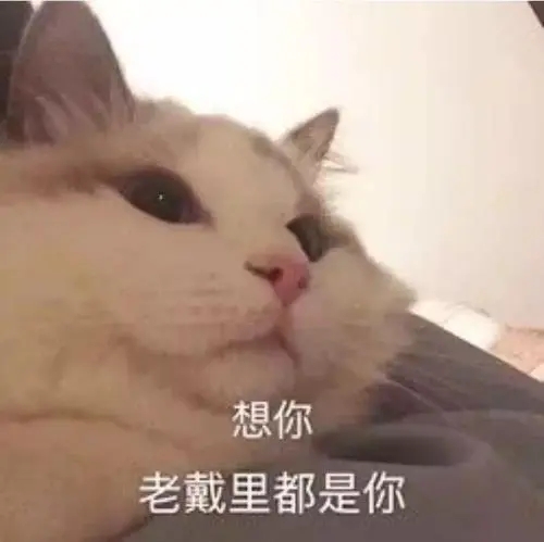 草莓聊打招呼的句子文案