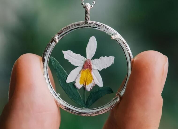 摘抄句子文案并写感悟