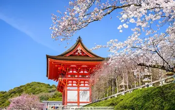 唯美日本语录文案