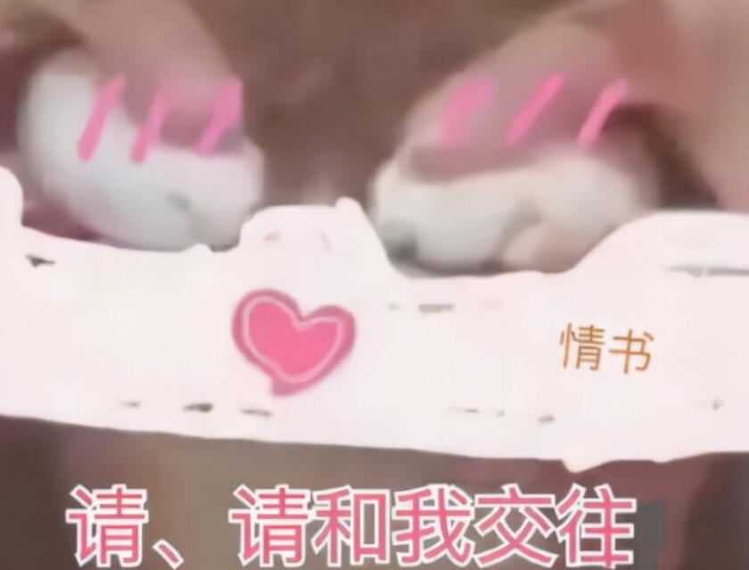 写给男朋友的情话文案感动1000字