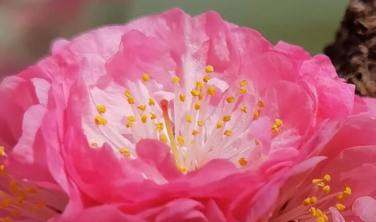 表达拍照留住美的句子文案