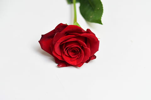 让婚外情人感动哭的一段话