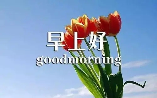 女孩早上好带字问候语