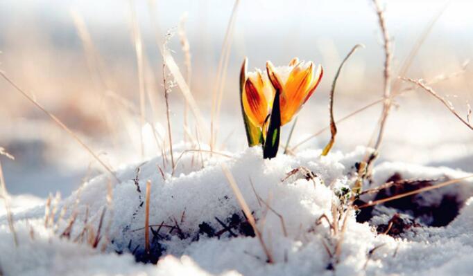 发个明天休息的句子文案