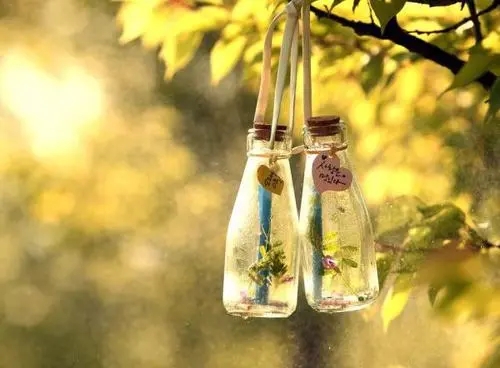 简单生活心态的句子文案语录