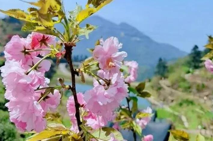 传承革命精神的句子文案