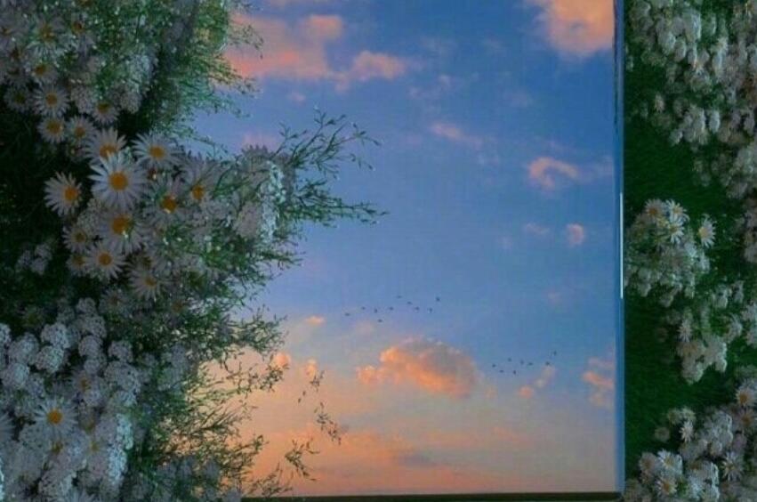 又长又唯美的情话文案