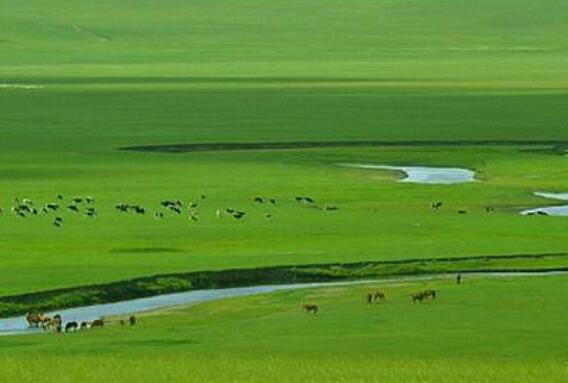 草原发朋友圈的句子文案