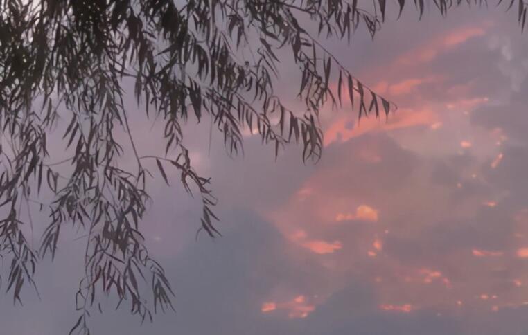 发自己照片用的语句文案