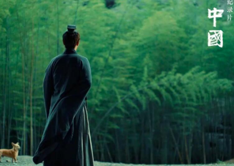 关于评论纪录片的名言