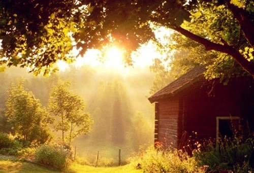 描述长见识的句子文案