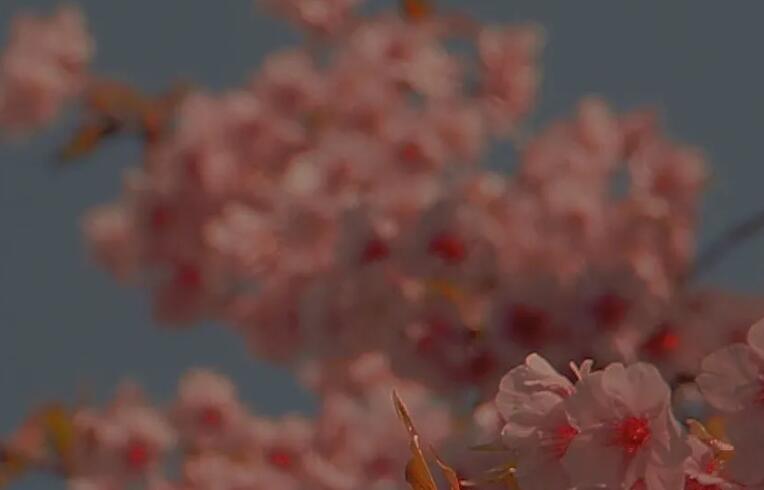 适合在车站发的朋友圈