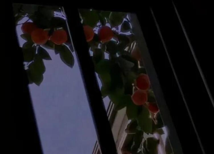 吃一堑长一智发朋友圈