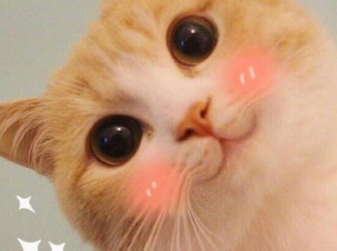 高情商的道歉句子文案