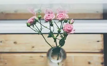 潮句子文案短句6字