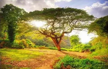 精神表现出来的活力的句子文案