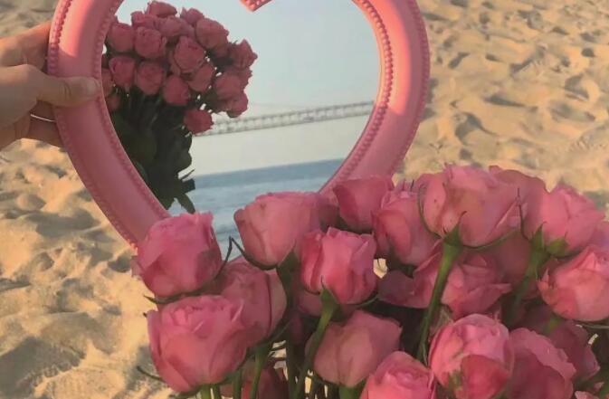 玫瑰花的文案句子