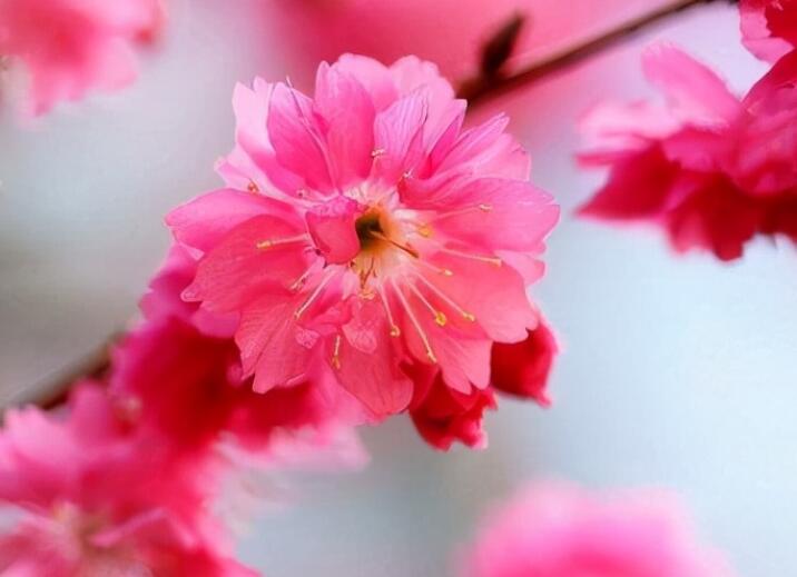 发给朋友的早上好短句