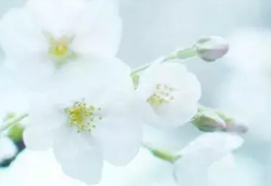 表示自己被无视的句子文案