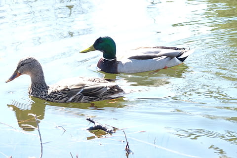 让对方心疼的晚安说说文案