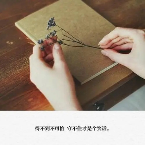 文字唯美的短句子文案