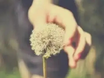 生活难熬的句子文案