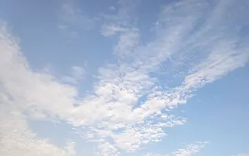 天气很好阳光很美句子文案朋友圈