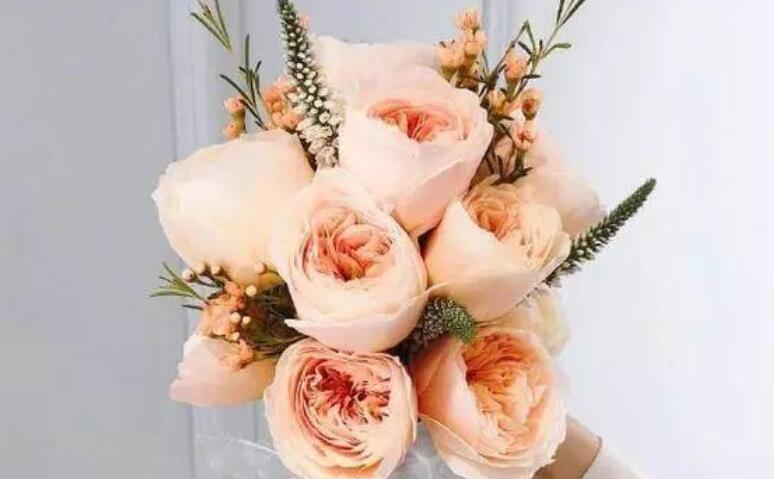 简短霸气早安一句话