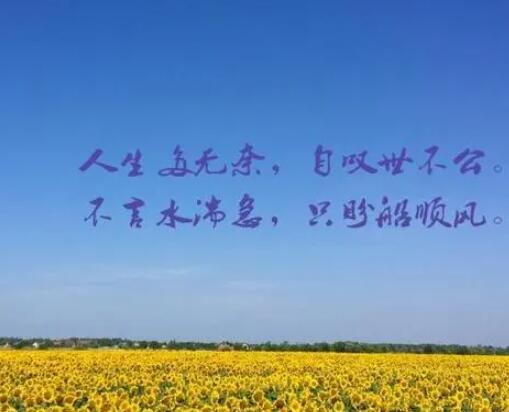 人生很累又无奈的说说文案