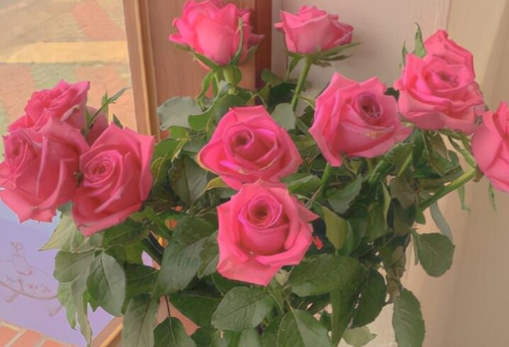 做饭表达爱意的句子文案