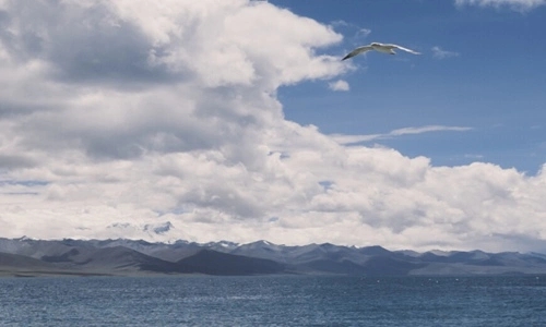 激励自己2024年的短句