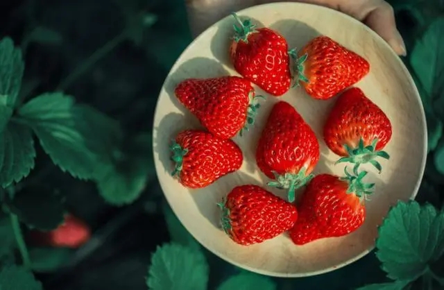 关于草莓的搞笑短语