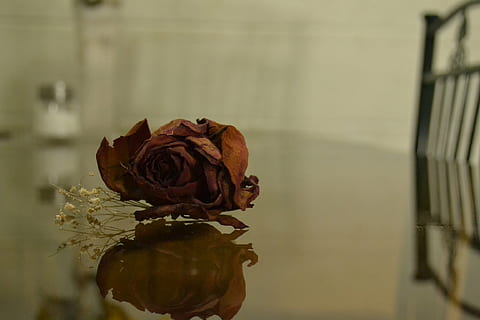 晚上送给女朋友的情话文案