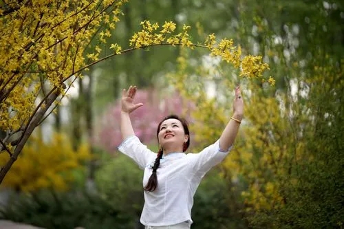 夸奖景美人更美的句子文案