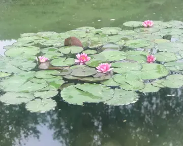 春天遛娃的句子文案