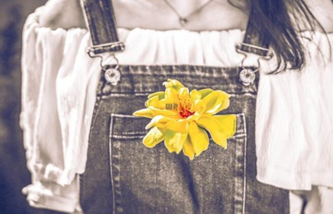 适合发朋友圈的文案和图片