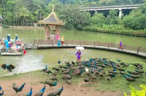 西双版纳朋友圈配文