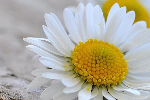 生日祝福语幽默