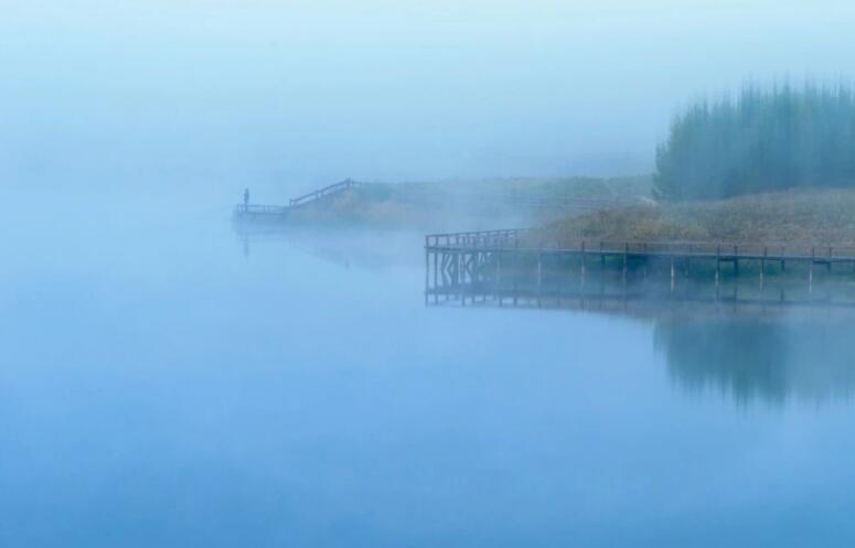说到让人心疼的句子文案