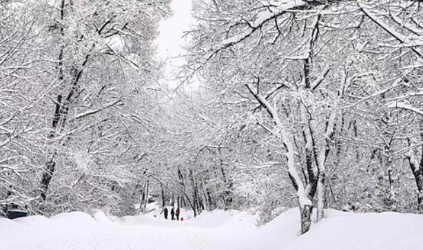 冬天雾凇江岸句子文案