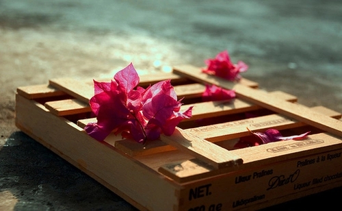 表达思念的文章段落