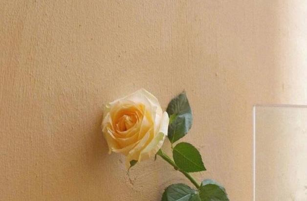 干净励志短句朋友圈一句话