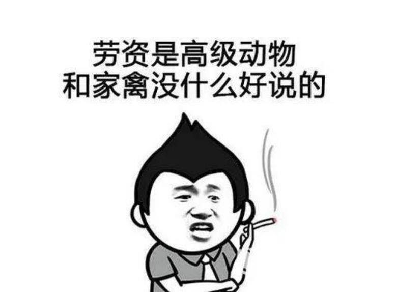 比较深奥的骂人的话