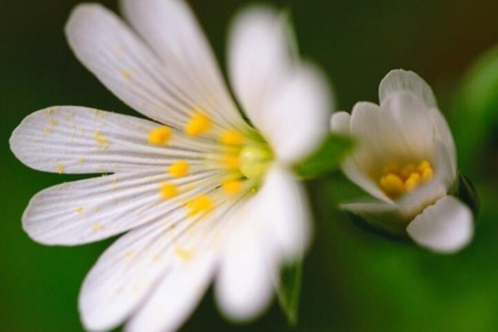 对待感情无奈的说说文案