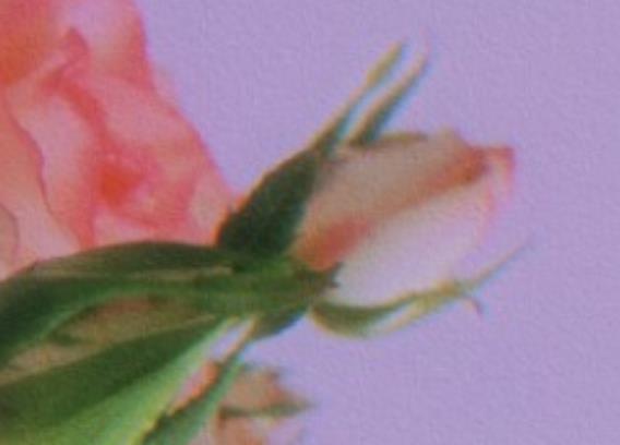 一句表白情话文案