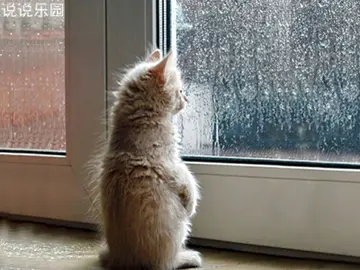 心情很烦的句子文案说说